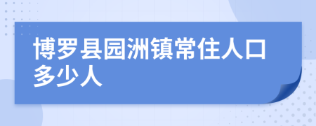 博罗县园洲镇常住人口多少人