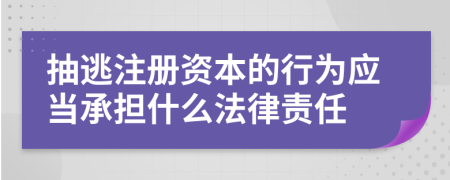 抽逃注册资本的行为应当承担什么法律责任