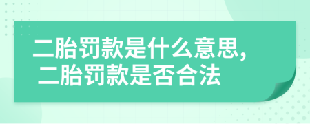 二胎罚款是什么意思, 二胎罚款是否合法