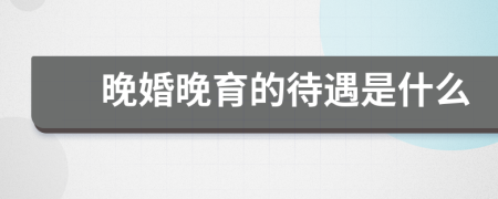 晚婚晚育的待遇是什么