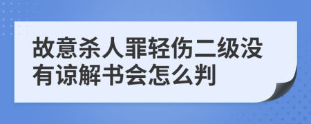 故意杀人罪轻伤二级没有谅解书会怎么判