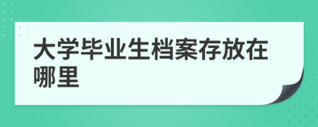 大学毕业生档案存放在哪里