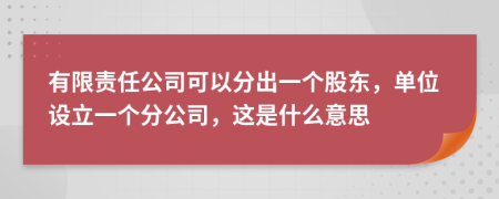 有限责任公司可以分出一个股东，单位设立一个分公司，这是什么意思