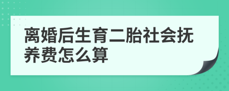 离婚后生育二胎社会抚养费怎么算