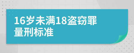 16岁未满18盗窃罪量刑标准