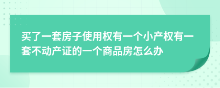 买了一套房子使用权有一个小产权有一套不动产证的一个商品房怎么办