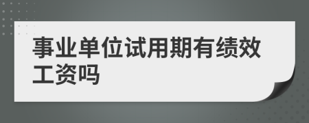 事业单位试用期有绩效工资吗