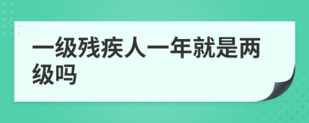 一级残疾人一年就是两级吗
