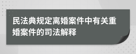 民法典规定离婚案件中有关重婚案件的司法解释