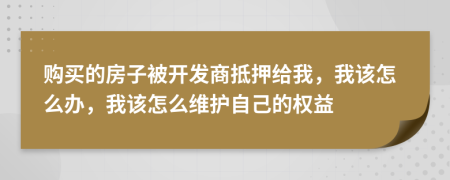 购买的房子被开发商抵押给我，我该怎么办，我该怎么维护自己的权益