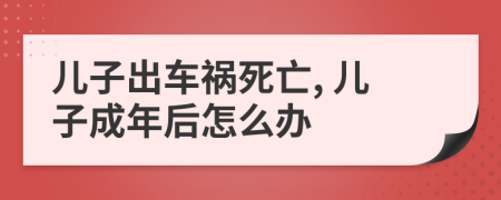 儿子出车祸死亡, 儿子成年后怎么办