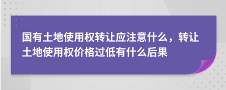 国有土地使用权转让应注意什么，转让土地使用权价格过低有什么后果