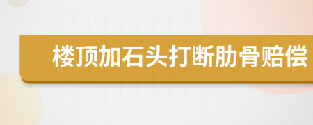 楼顶加石头打断肋骨赔偿