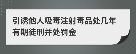 引诱他人吸毒注射毒品处几年有期徒刑并处罚金