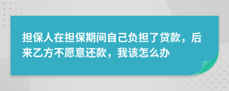 担保人在担保期间自己负担了贷款，后来乙方不愿意还款，我该怎么办