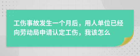 工伤事故发生一个月后，用人单位已经向劳动局申请认定工伤，我该怎么