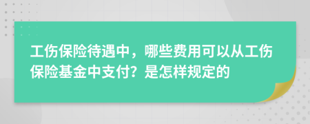 工伤保险待遇中，哪些费用可以从工伤保险基金中支付？是怎样规定的