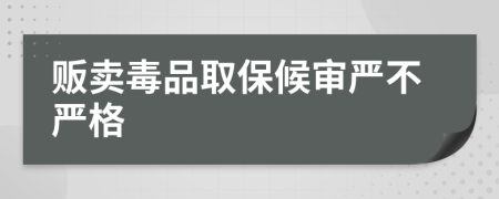 贩卖毒品取保候审严不严格