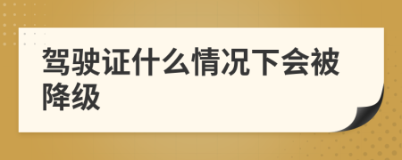 驾驶证什么情况下会被降级