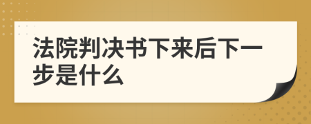 法院判决书下来后下一步是什么