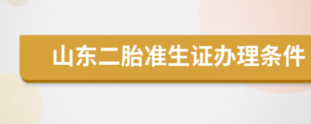 山东二胎准生证办理条件