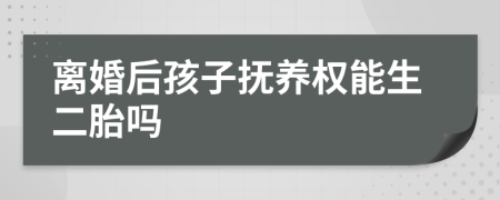 离婚后孩子抚养权能生二胎吗
