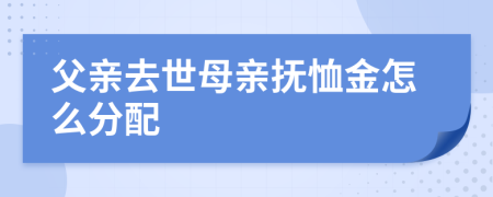 父亲去世母亲抚恤金怎么分配