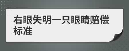 右眼失明一只眼睛赔偿标准