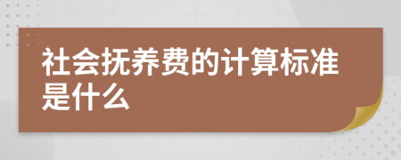 社会抚养费的计算标准是什么