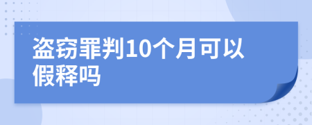 盗窃罪判10个月可以假释吗