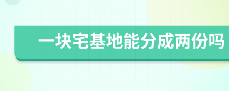 一块宅基地能分成两份吗