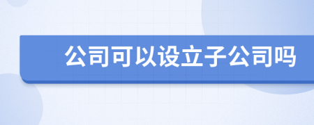 公司可以设立子公司吗