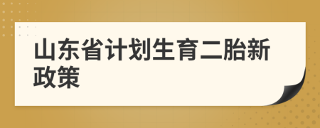 山东省计划生育二胎新政策