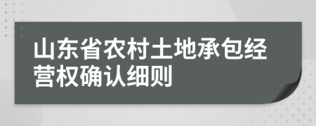 山东省农村土地承包经营权确认细则