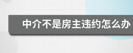 中介不是房主违约怎么办