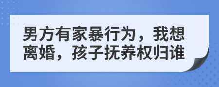 男方有家暴行为，我想离婚，孩子抚养权归谁