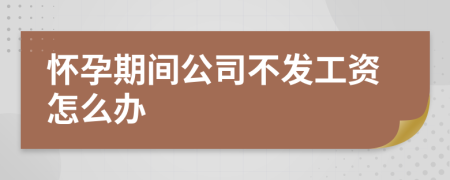 怀孕期间公司不发工资怎么办