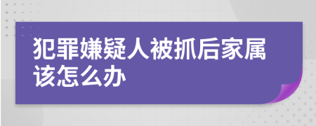 犯罪嫌疑人被抓后家属该怎么办