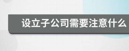 设立子公司需要注意什么