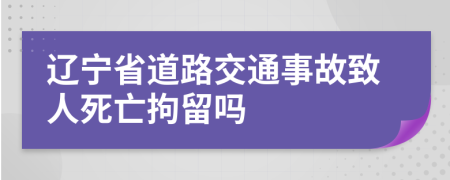 辽宁省道路交通事故致人死亡拘留吗