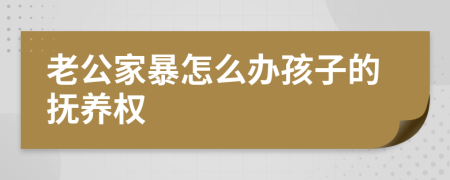 老公家暴怎么办孩子的抚养权