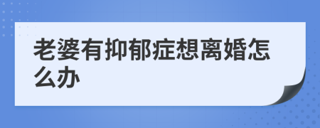 老婆有抑郁症想离婚怎么办