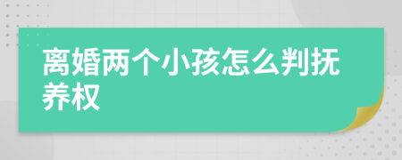 离婚两个小孩怎么判抚养权