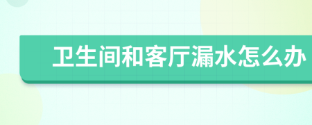 卫生间和客厅漏水怎么办