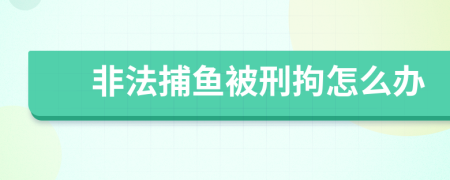 非法捕鱼被刑拘怎么办