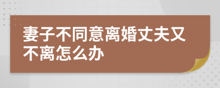 妻子不同意离婚丈夫又不离怎么办