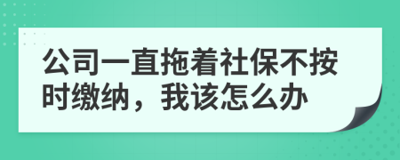 公司一直拖着社保不按时缴纳，我该怎么办