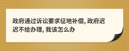 政府通过诉讼要求征地补偿, 政府迟迟不给办理, 我该怎么办