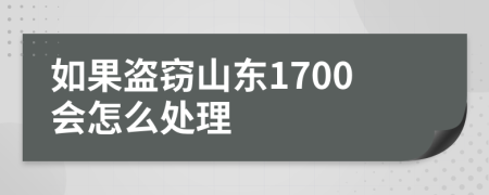 如果盗窃山东1700会怎么处理