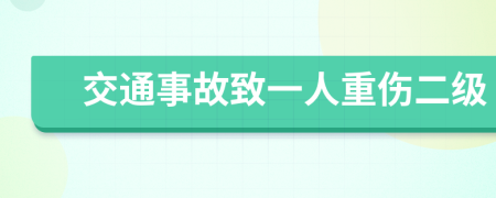 交通事故致一人重伤二级